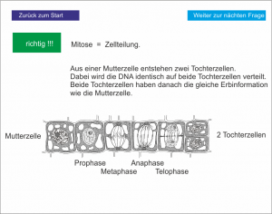 LS_Die Zelle 4